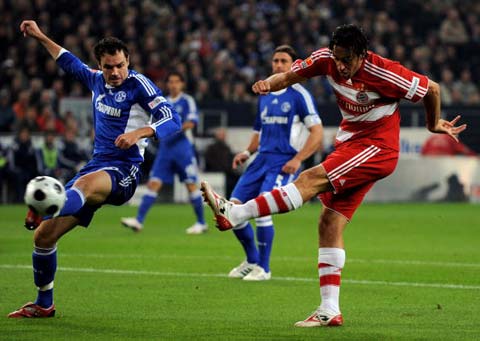 赛观赏性 赛观赏性